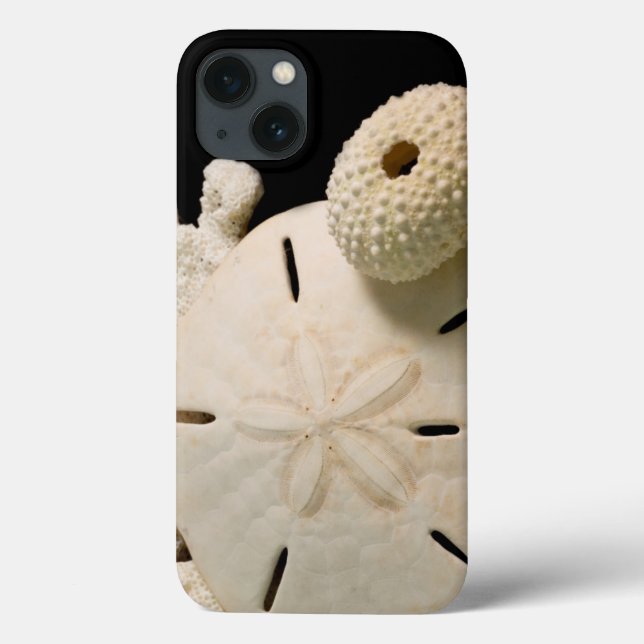 Coques Case-Mate iPhone Coquilles blanches et dollar de sable (Verso)