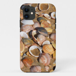 Coques Pour iPhone Coquilles sur une plage sablonneuse   Andalousie,