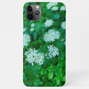 Case-Mate iPhone Case Cornus sanguinea