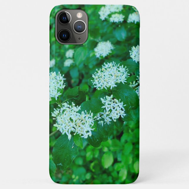 Coques Case-Mate iPhone Cornus sanguinea (Dos)