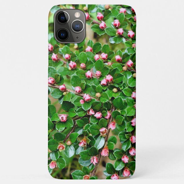 Coques Case-Mate iPhone Cotonou horizontalis (Dos)