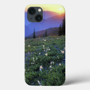 Case-Mate iPhone Case Coucher de soleil à Obstruciton Point, Parc nation