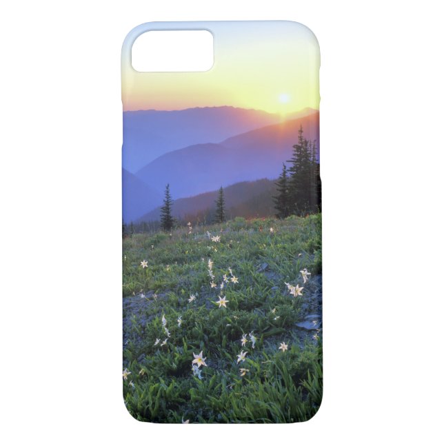 Coques Case-Mate iPhone Coucher de soleil de Point d'obstruction, Pôle oly (Dos)