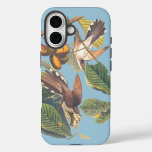 Coques iPhone 16 Coucou à bec jaune Audubon