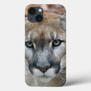 Etui iPhone 13 Couguar, lion de montagne, panthère de Floride, Pu