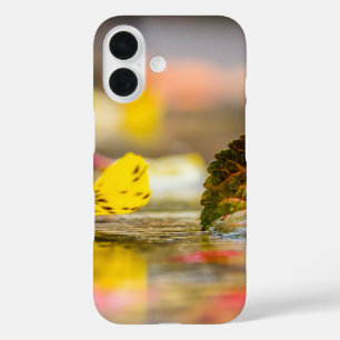 Coques iPhone 16 Couleurs d'automne