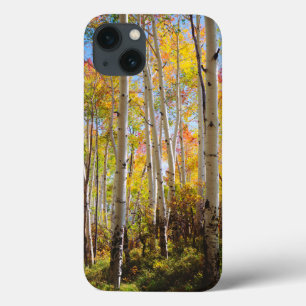 Etui iPhone 13 Couleurs d'automne des arbres Trembles 5