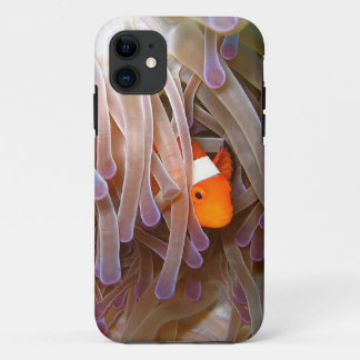 Coques Pour iPhone Couverture de l'iPhone 5 de poissons de clown