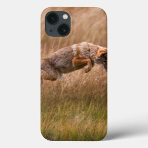 iPhone 13 Coque Coyote sautant - prés de gibbon