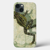Crapaud Swinning dans l'eau
