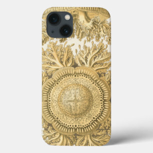 Etui iPhone Case-Mate Créatures d'or de mer