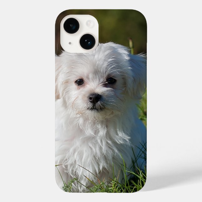 Coques Case-Mate iPhone Créer votre propre photo Ajouter une photo personn (Verso)