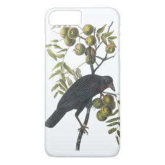 Coques Pour iPhone Crow américain par Audubon