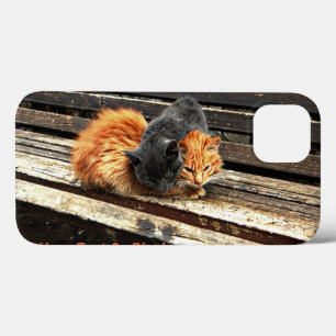Etui iPhone 13 Cuisses Catnap