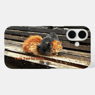 Coques iPhone 16 Cuisses Catnap