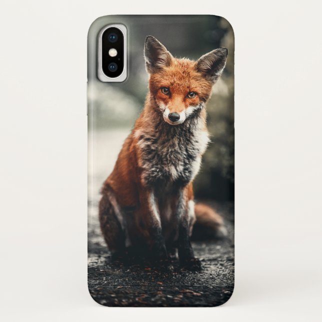 Coques Case-Mate iPhone Curieux Big Red et White Fox assis dans la nature (Dos)