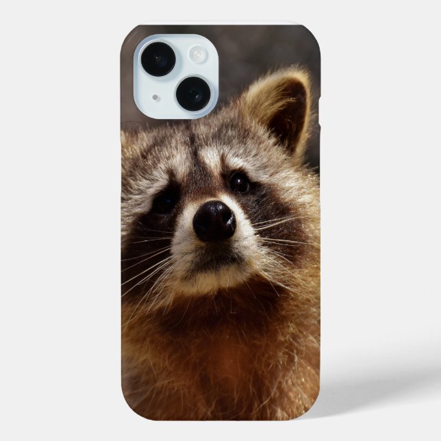 Coques Case-Mate iPhone Curieux Photo Raccoon (Verso)