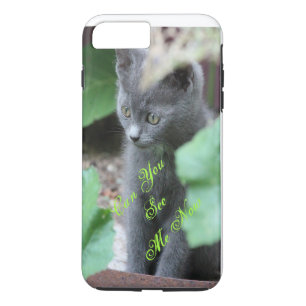 Coque iPhone 8 Plus/7 Plus Cute Baby Grey Kitten iPhone couverture