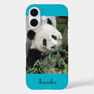 Coques iPhone 16 Cute Giant Panda Arrière - plan bleu avec nom