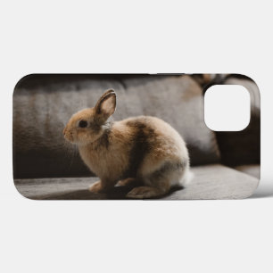 Case-Mate iPhone Case Cutest Baby Animals Netherland Dwarf Rabbit