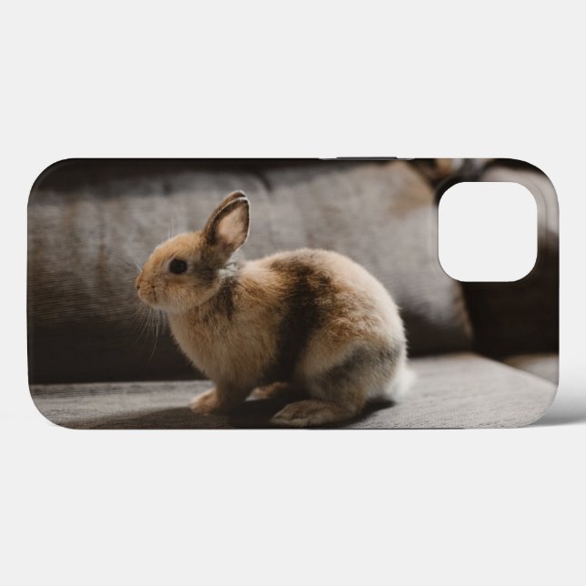 Coques Case-Mate iPhone Cutest Baby Animals | Netherland Dwarf Rabbit (Verso (horizontal))