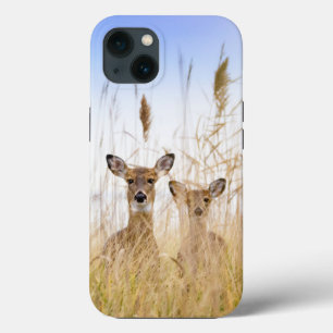 Case-Mate iPhone Case Cutest Baby Animals Two Young White Tailed Deer