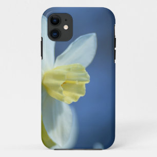 Coques Pour iPhone Daffodique au printemps