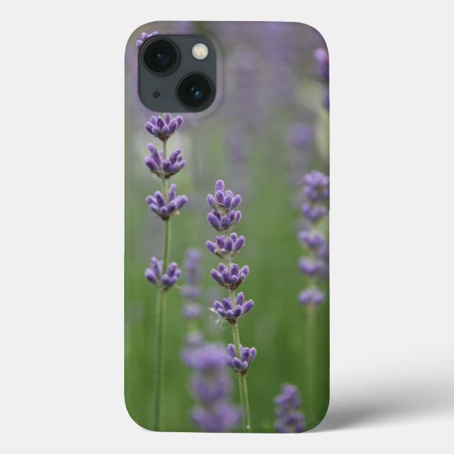 Coques Case-Mate iPhone Dainty Lavender à peine Il iPad Air Case (Verso)