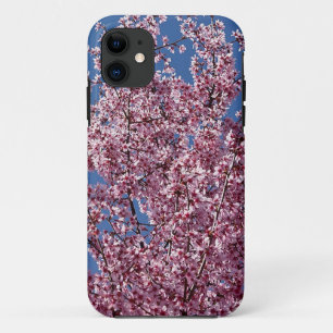 Coques Pour iPhone Dans le bleu Floraison de cerisiers japonais