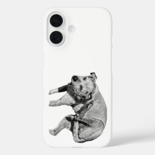 Coques iPhone 16 Démangeaison de la graisse de l'ombre