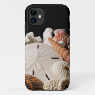 Coques Pour iPhone Détail de coquillages du monde entier