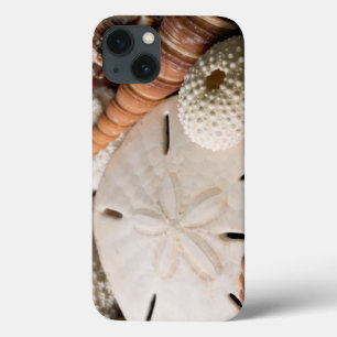 Coques Pour iPhone Détail Des Coquillages Du Monde Entier