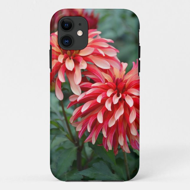 Coques Case-Mate iPhone Deux fleurs dahlia roses (Dos)