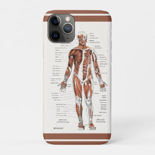 Case-Mate iPhone Case Diagramme Vintage du Système Circulatoire Musculai