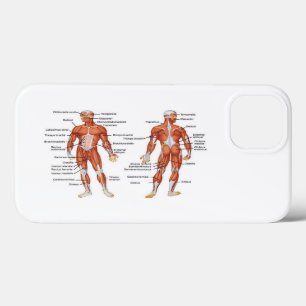 Case-Mate iPhone Case Diagrammes musculaires cadeaux101