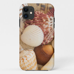 Coques Pour iPhone Disposition de coquillage