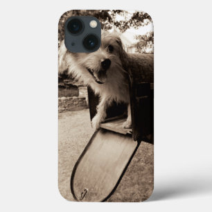 Coques Pour iPhone Dog Inside a Mailbox