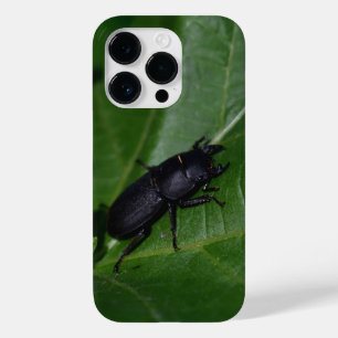 Coque Pour iPhone 14 Pro Dorcus parallelipipedus, le moindre dendroctone du