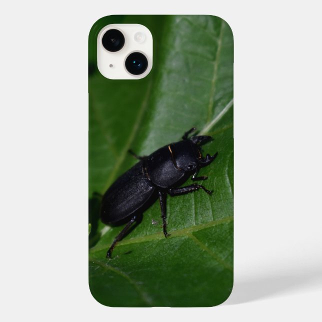 Coques Case-Mate iPhone Dorcus parallelipipedus, le moindre dendroctone du (Verso)