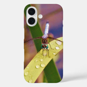 Coques iPhone 16 Dragonfly sur la feuille de pluie