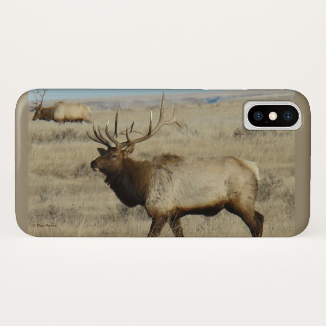 Coques Case-Mate iPhone E55 Bull Elk Big Bull (Dos (Horizontal))