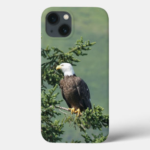 Etui iPhone Case-Mate Eagle chauve
