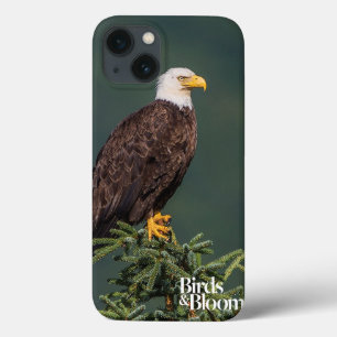 Case-Mate iPhone Case Eagle chauve majestueux