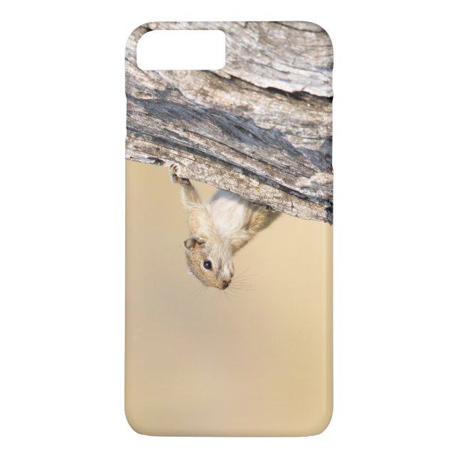 Coques Case-Mate iPhone Écureuil (Dos)