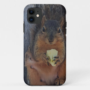 Case-Mate iPhone Case Écureuil