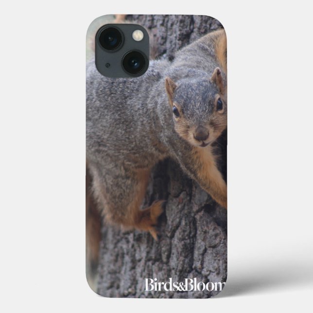 Coques Case-Mate iPhone Écureuil (Verso)