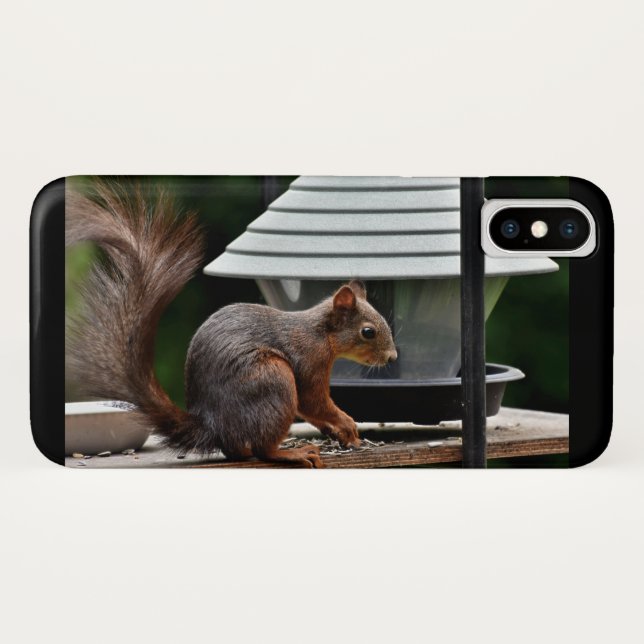 Coques Case-Mate iPhone Écureuil à l'éleveur d'oiseaux (Dos (Horizontal))