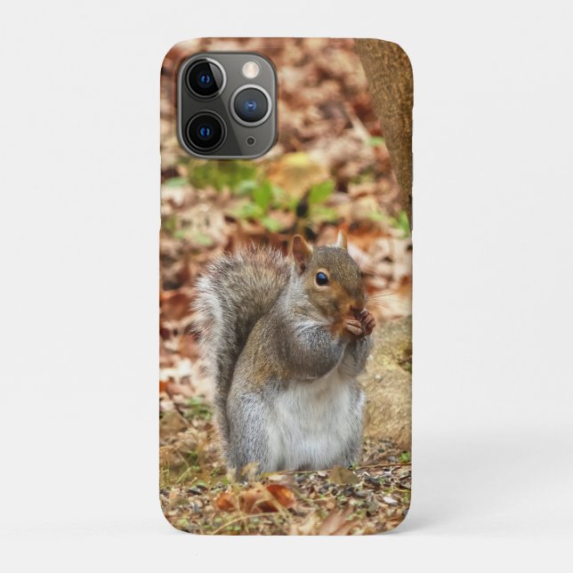 Coques Case-Mate iPhone Écureuil affamé (Dos)