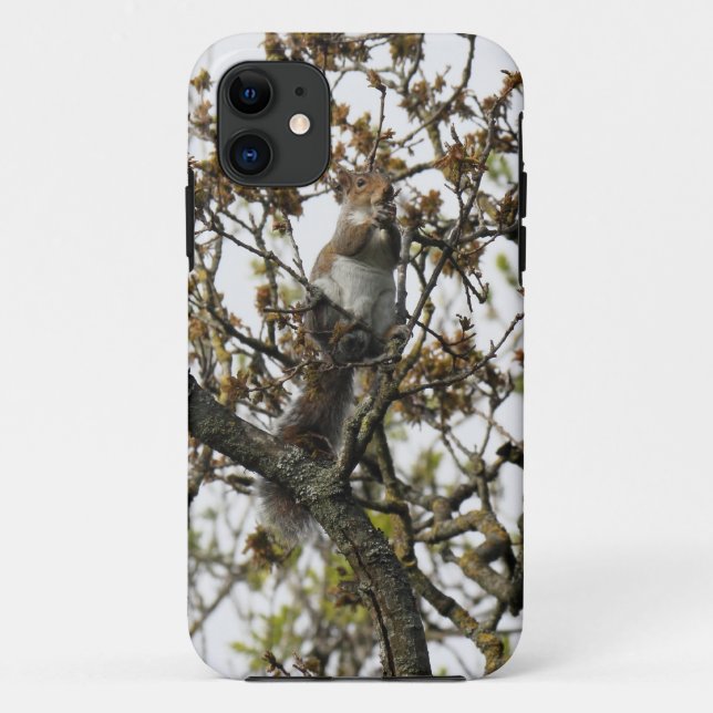 Coques Case-Mate iPhone Écureuil dans un arbre (Dos)