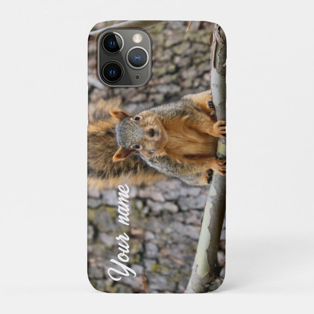 Coques Case-Mate iPhone Écureuil de renard (Dos)